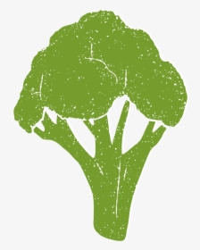 Broccoli , Png Download, Transparent Png, Transparent PNG