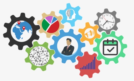 Organization Vector, HD Png Download, Transparent PNG