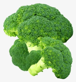 Product Image - Broccoli, HD Png Download, Transparent PNG