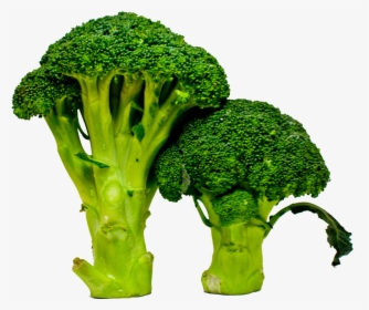 Broccoli, HD Png Download, Transparent PNG