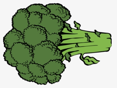 Broccoli Cliparts - Broccoli Clip Art, HD Png Download, Transparent PNG