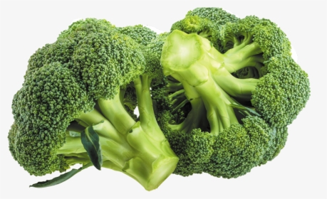 Broccoli Good For You, HD Png Download, Transparent PNG