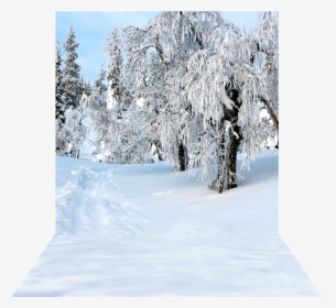 Transparent Snow Day Png - Snow, Png Download, Transparent PNG