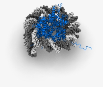 Nucleosome 3d Model, HD Png Download, Transparent PNG