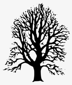 Clipart Black Tree Png - Lime Tree Drawing, Transparent Png, Transparent PNG