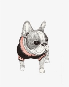 Decorative Animals Bulldog Boston Pug Painting Illustration - วาด การ์ตูน บ ลู ด๊ อก, HD Png Download, Transparent PNG