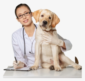 Veterinarian Philippines, HD Png Download, Transparent PNG