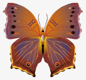 Butterfly Png Images Png - Vector, Transparent Png, Transparent PNG