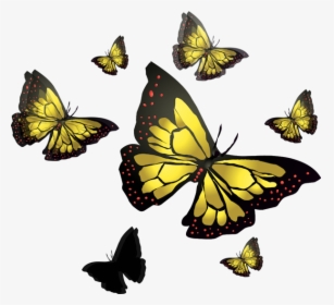 Vector Butterfly - Speckled Wood (butterfly, HD Png Download, Transparent PNG