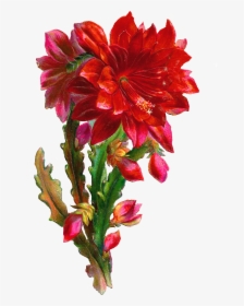 Beautiful Flower Png, Transparent Png, Transparent PNG