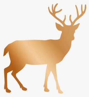 Black And White Deer Clipart, HD Png Download, Transparent PNG