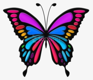 Butterfly Clipart Images - Colorful Butterfly Clipart, HD Png Download, Transparent PNG