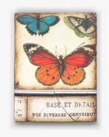 Sid Dickens Butterfly Tile, HD Png Download, Transparent PNG
