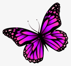 Pink Butterfly Sticker, HD Png Download, Transparent PNG