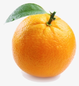 Single Orange Transparent Image - Things That Are Color Orange, HD Png Download, Transparent PNG