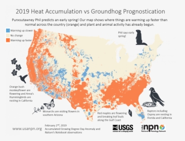 2019 Heat Accumulation Vs Groundhog Prognostication - Spring Bloom Map 2019, HD Png Download, Transparent PNG