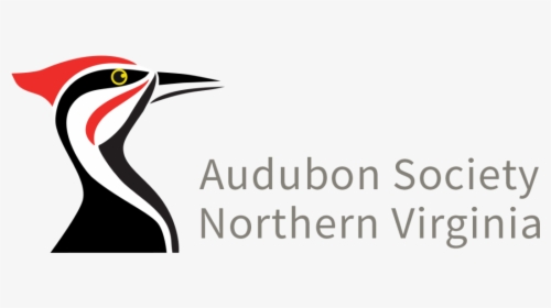 Audubon Society Of Northern Virginia, HD Png Download, Transparent PNG