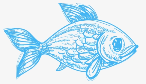 Drawing Deep Sea Creature Pencil Sketch Fish, HD Png Download, Transparent PNG