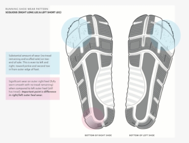 Transparent Shoe Sole Png - Sneakers, Png Download, Transparent PNG