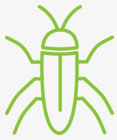 Alta Cockroach Icon, HD Png Download, Transparent PNG