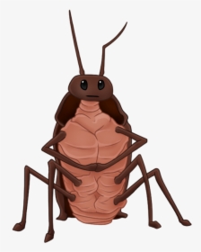 Rat Gregor The Overlander - Gregor The Overlander Cockroaches, HD Png Download, Transparent PNG