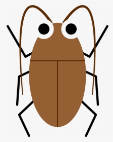 Now, You Can Beat Any Big Cockroaches With Those Powerful - Cockroach Shirt, HD Png Download, Transparent PNG