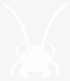 Oriental Cockroach - Insect, HD Png Download, Transparent PNG