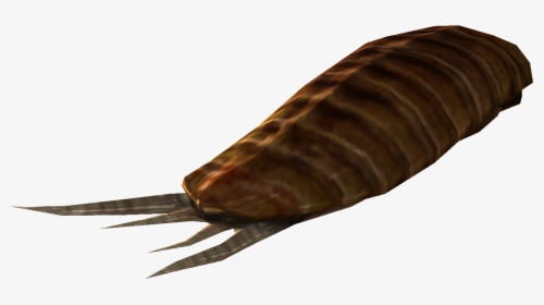 Nukapedia The Vault - Manduca Sexta, HD Png Download, Transparent PNG