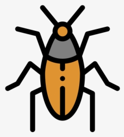 Weevil, HD Png Download, Transparent PNG
