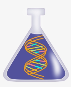 Laboratory Interference Gives False Results On Various, HD Png Download, Transparent PNG