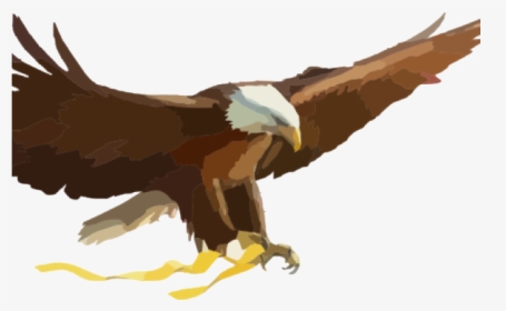 Eagle Cartoon Pictures - Cartoon Eagle, HD Png Download, Transparent PNG