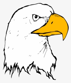 Transparent Eagle Head Vector Png - Cartoon Drawing Bold Eagle, Png Download, Transparent PNG