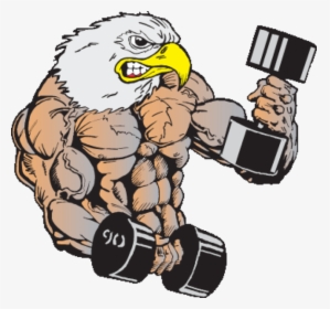 Muscle Eagle Png - Body Builder Eagle Cartoon, Transparent Png, Transparent PNG