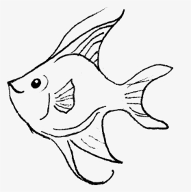 Angelfish , Png Download - Coral Reef Fish, Transparent Png, Transparent PNG