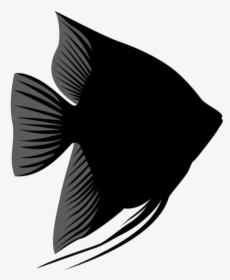 Black Blue Angel Fish Png Transparent Background - Illustration, Png Download, Transparent PNG