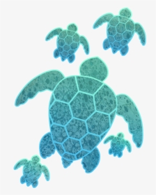 Clip Art A Family Of Turtles - Kemp's Ridley Sea Turtle, HD Png Download, Transparent PNG