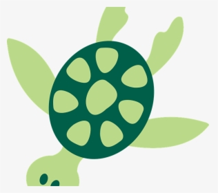 Download Ocean Animals Clip Art - Sea Turtle Png Clipart, Transparent Png, Transparent PNG
