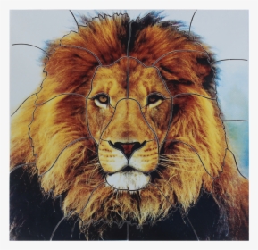 Lion - Wildlife Heritage Foundation, HD Png Download, Transparent PNG