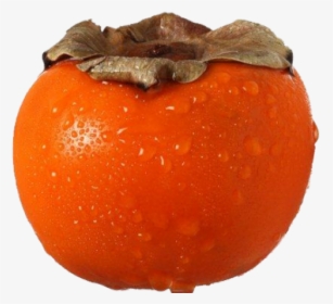 Persimmon Png Transparent Images - Persimmon Flashcard, Png Download, Transparent PNG