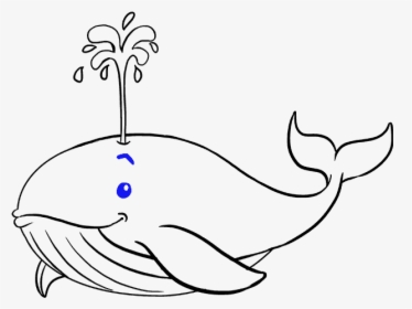 How To Draw Whale - Whale Drawing, HD Png Download, Transparent PNG