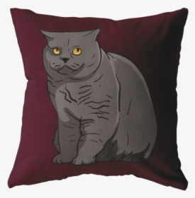 Transparent Gray Cat Png - Black Cat, Png Download, Transparent PNG