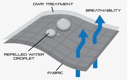 Diagram, HD Png Download, Transparent PNG