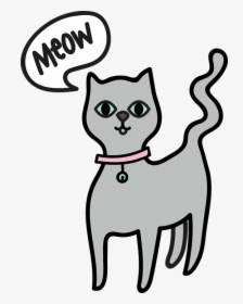 Cat, HD Png Download, Transparent PNG