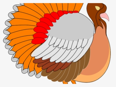 Turkey Bird Clipart Cornucopia - Clipart Turkey Png, Transparent Png, Transparent PNG