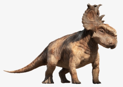 Dinosaur With Big Plate On Head, HD Png Download, Transparent PNG