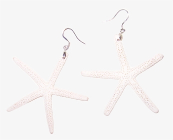 White Sugar Starfish Earrings - Earrings, HD Png Download, Transparent PNG