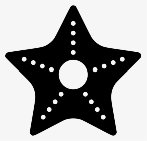 Starfish - Starfish Symbol, HD Png Download, Transparent PNG