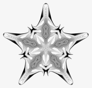 Visual Arts,christmas Ornament,starfish - Grayscale, HD Png Download, Transparent PNG