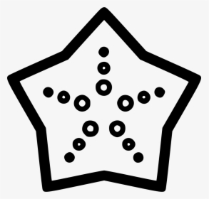 Starfish, HD Png Download, Transparent PNG