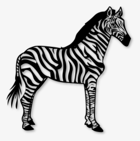 Zebra Pattern Template - Dare To Be Different, HD Png Download, Transparent PNG